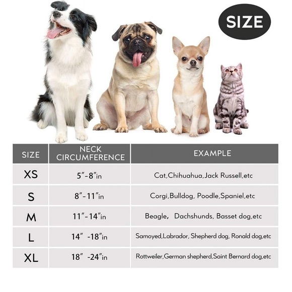 Protective Recovery Cone for X-Small Dogs and Cats & Puppies - (Neck:5"-8") - Picture 6 of 12